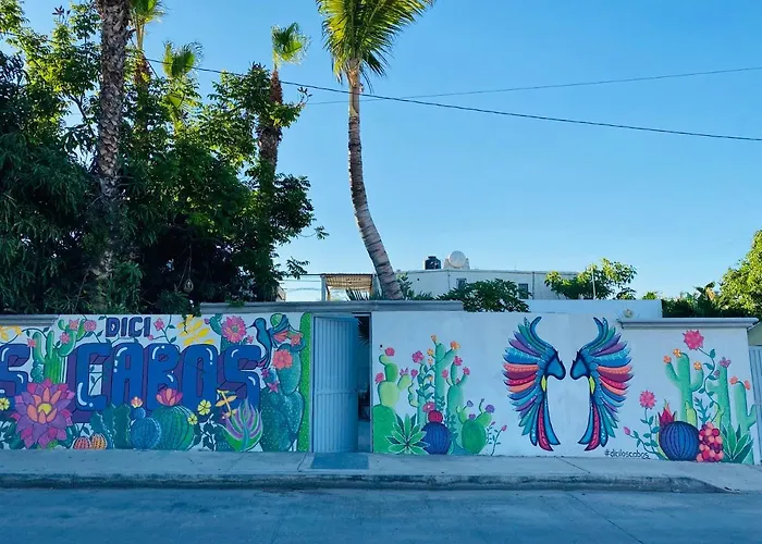 Homestay The Blue Flowers At Dici Coliving Housing Cabo San Lucas