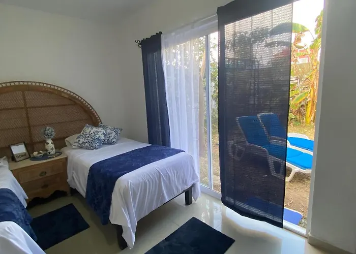 The Blue Flowers At Dici Coliving Housing * Cabo San Lucas