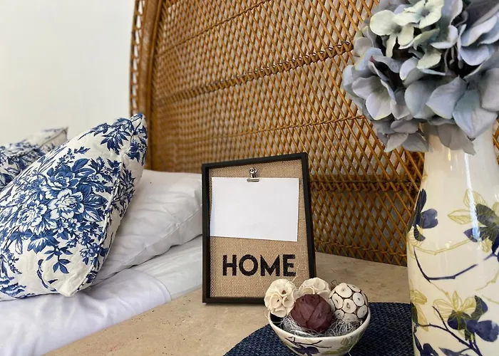 Homestay The Blue Flowers At Dici Coliving Housing Cabo San Lucas
