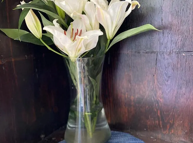 The Blue Flowers At Dici Coliving Housing Homestay