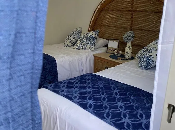 The Blue Flowers At Dici Coliving Housing * Cabo San Lucas