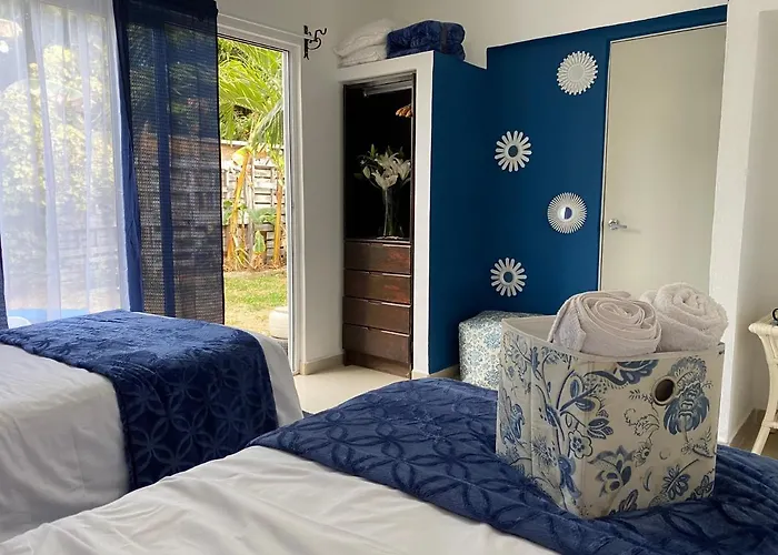 The Blue Flowers At Dici Coliving Housing * Cabo San Lucas
